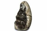 Free-Standing, Polished Septarian Geode - Black Crystals #302874-2